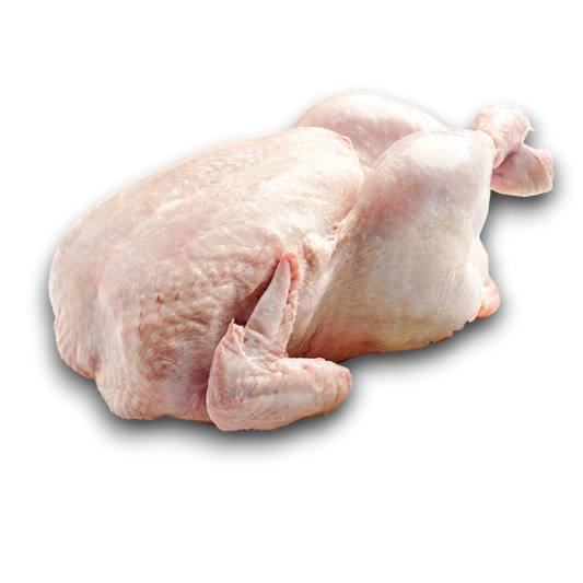 Fehér Égesz Csirke 1,5-1,8 kg